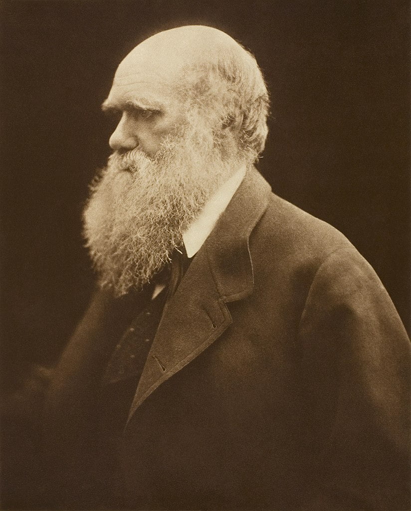 Charles Darwin, evoluutioteorian kehittäjä